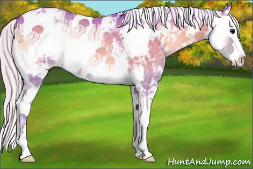 Horse Color:Watercolor Silver Blue Onyx Sabino Rabicano