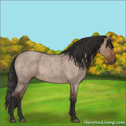 Horse Color:Liver Red Dun Roan Rabicano 