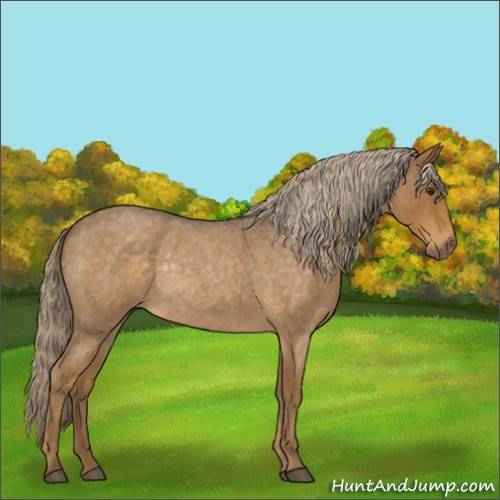 Horse Color:Chocolate Palomino Roan Rabicano