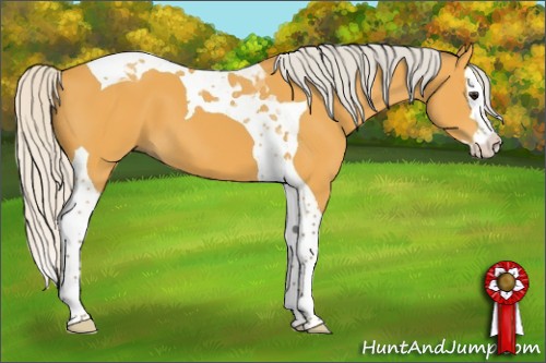 Horse Color:Silver Buckskin Splash Tobiano 
