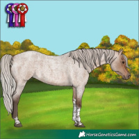 Horse Color:Silver Brown Roan Dun Tobiano