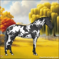 Horse Color:White Spotted Black 