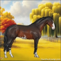 Horse Color:Brown Sabino 