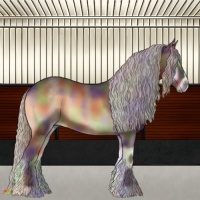 Horse Color:Nacre Silver Bay Onyx 