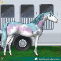 Horse Color:Watercolor White Spotted Brown Onyx Splash 