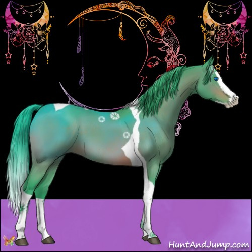 Horse Color:Watercolor Bay Splash Tobiano 