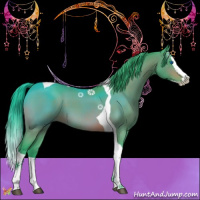 Horse Color:Watercolor Bay Splash Tobiano 