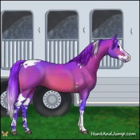 Horse Color:Watercolor Bay Splash Tobiano 