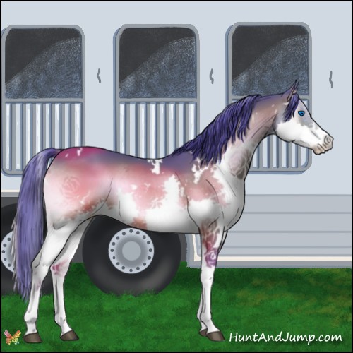 Horse Color:Watercolor White Spotted Brown Onyx Splash