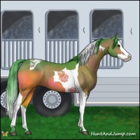 Horse Color:Watercolor Brown Splash Tobiano 