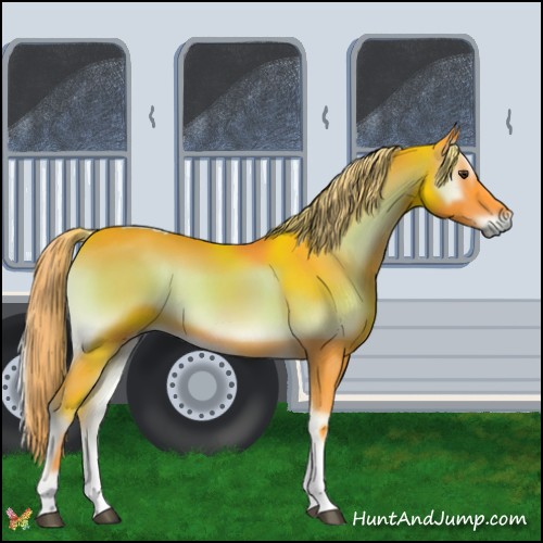 Horse Color:Watercolor Chocolate Palomino Onyx Tobiano 