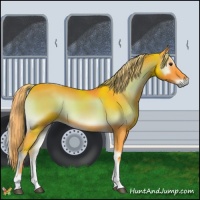 Horse Color:Watercolor Chocolate Palomino Onyx Tobiano 