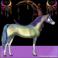 Horse Color:Watercolor Brown Onyx 