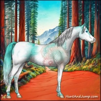 Horse Color:Watercolor White Spotted Brown Splash Tobiano