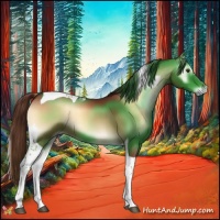 Horse Color:Red Onyx Tobiano 