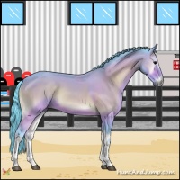 Horse Color:Watercolor Brown Onyx 