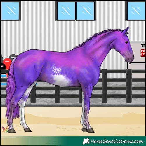 Horse Color:Watercolor White Spotted Liver Chestnut 