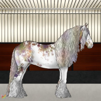 Horse Color:Nacre White Spotted Silver Bay Onyx
