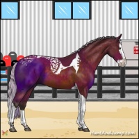 Horse Color:Silver Brown Splash Tobiano 