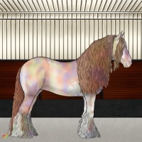 Horse Color:Nacre White Spotted Gold Champagne Onyx 