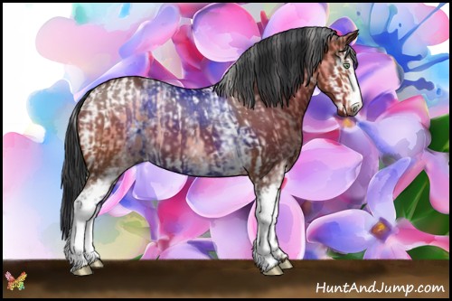 Horse Color:Watercolor Silver Amber Cream Champagne Splash Tobiano and White Spotted Bay