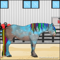 Horse Color:Painted Liver Chestnut 