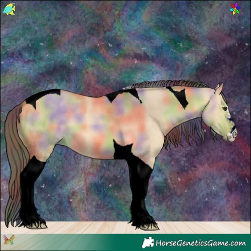 Horse Color:Nacre Buckskin Dun Tobiano