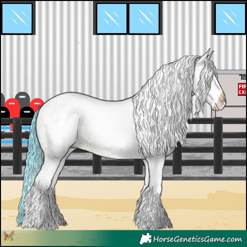 Horse Color:Watercolor White Spotted Bay Dun Rabicano