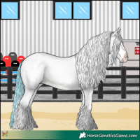 Horse Color:Watercolor White Spotted Bay Dun Rabicano