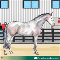 Horse Color:Watercolor Amber Champagne Dun Splash Tobiano 