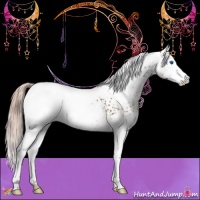 Horse Color:White Spotted Liver Chestnut Splash 