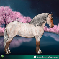 Horse Color:Silver Bay Roan Sabino 