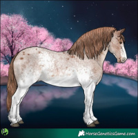 Horse Color:White Spotted Red Roan 