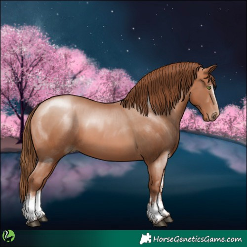 Horse Color:White Spotted Bay Pearl Sabino 