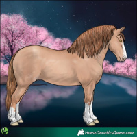 Horse Color:Gold Champagne 
