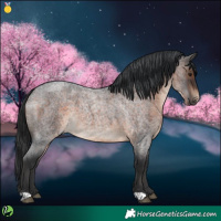 Horse Color:Brown Roan
