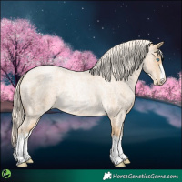Horse Color:White Spotted Palomino Roan Pearl 