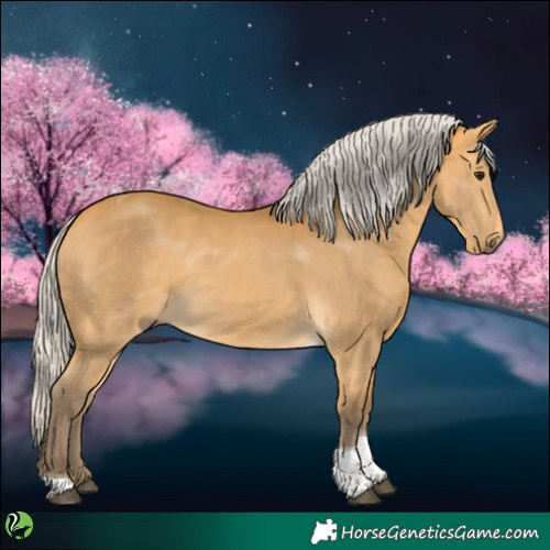 Horse Color:Silver Buckskin Tobiano 