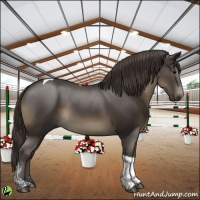 Horse Color:Smoky Black Tobiano 