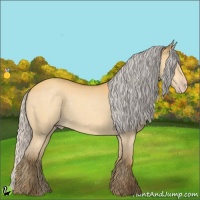 Horse Color:Silver Amber Cream Champagne 