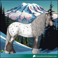 Horse Color:Silver Brown Appaloosa