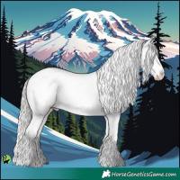 Horse Color:Silver Brown Appaloosa 