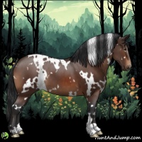 Horse Color:White Spotted Brown 