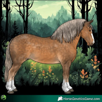 Horse Color:Chocolate Palomino 