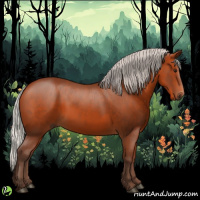 Horse Color:Silver Bay 