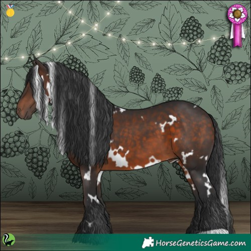 Horse Color:White Spotted Brown 