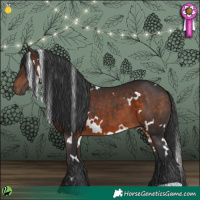 Horse Color:White Spotted Brown 