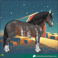 Horse Color:Brown Sabino