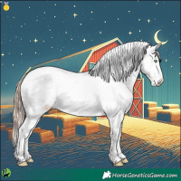 Horse Color:Gold Champagne Near Fewspot 