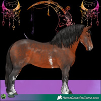 Horse Color:Bay Sabino 